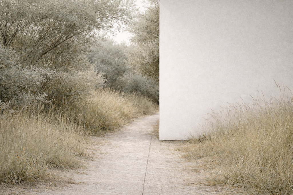 Ein schmaler, heller Weg führt durch hohes, trockenes Gras und lichte Büsche und endet abrupt vor einer glatten, hellen Wand, die den weiteren Weg versperrt.